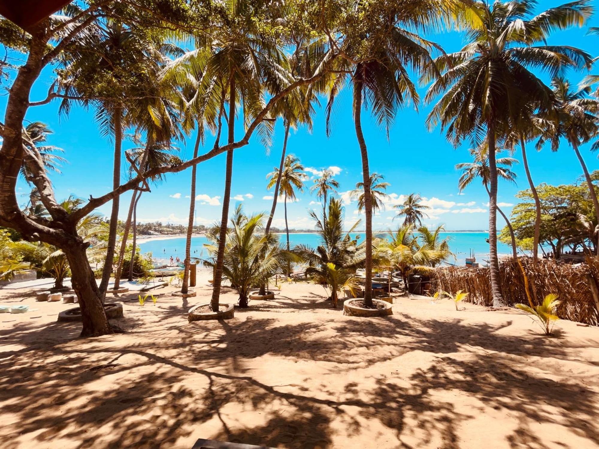 بيت شباب Coconut Hill آروغام المظهر الخارجي الصورة